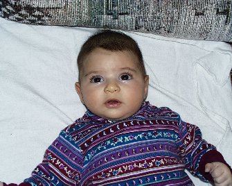 gal35.jpg (33753 bytes)